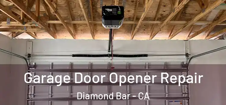  Garage Door Opener Repair Diamond Bar - CA