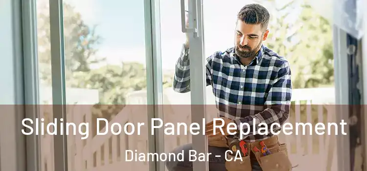  Sliding Door Panel Replacement Diamond Bar - CA